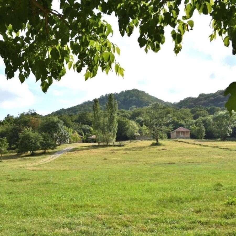 Grand Village Ismayilli Luaran gambar